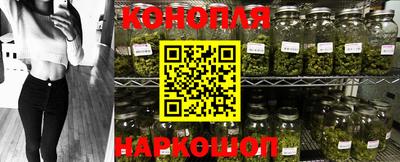гидра Малгобек