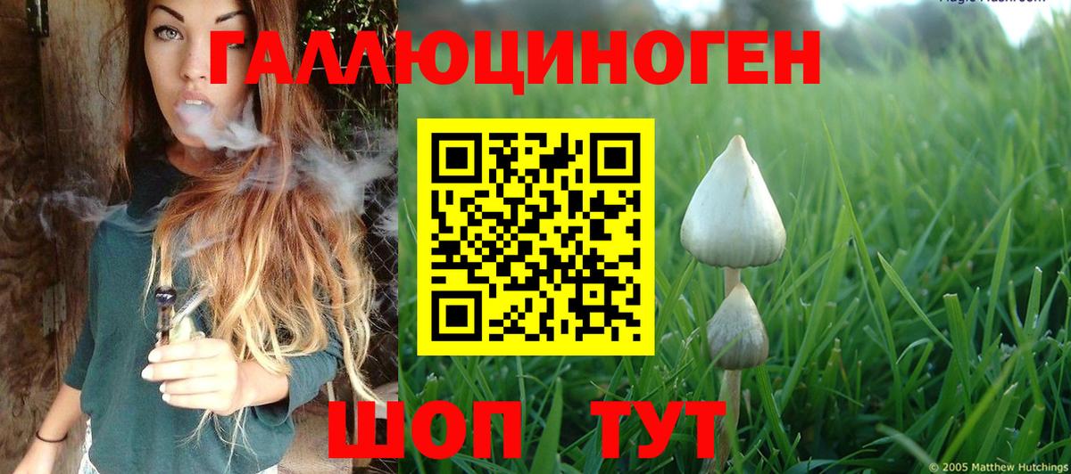 Дальнереченск  наркота  Вход с VPN  Галлюциногенные грибы ЛСД 