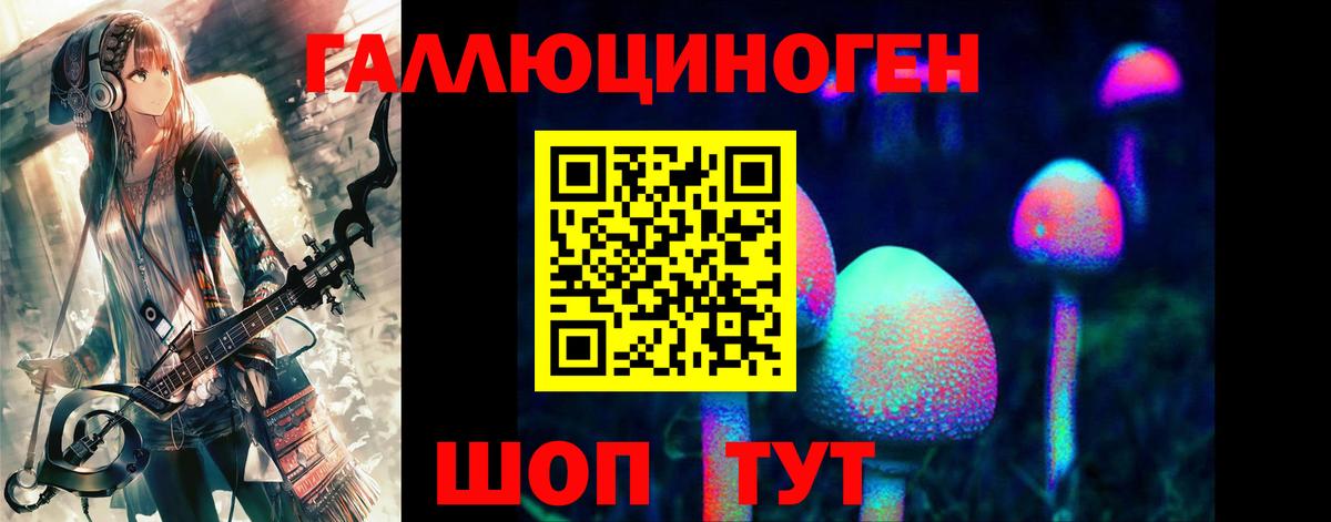 купить наркотик  Дальнереченск  Псилоцибиновые грибы мицелий 