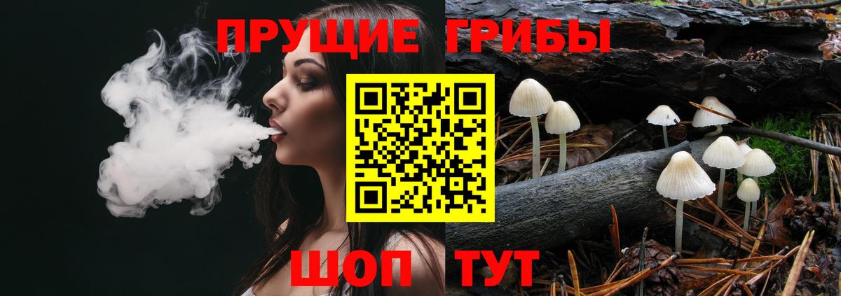 Галлюциногенные грибы мухоморы Дальнереченск