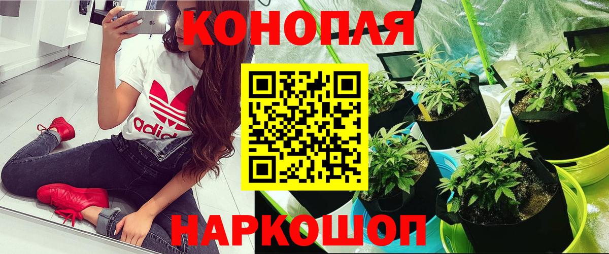 Бошки Шишки марихуана Дальнереченск